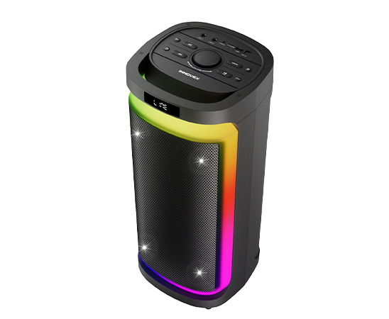 Portable Party Speaker